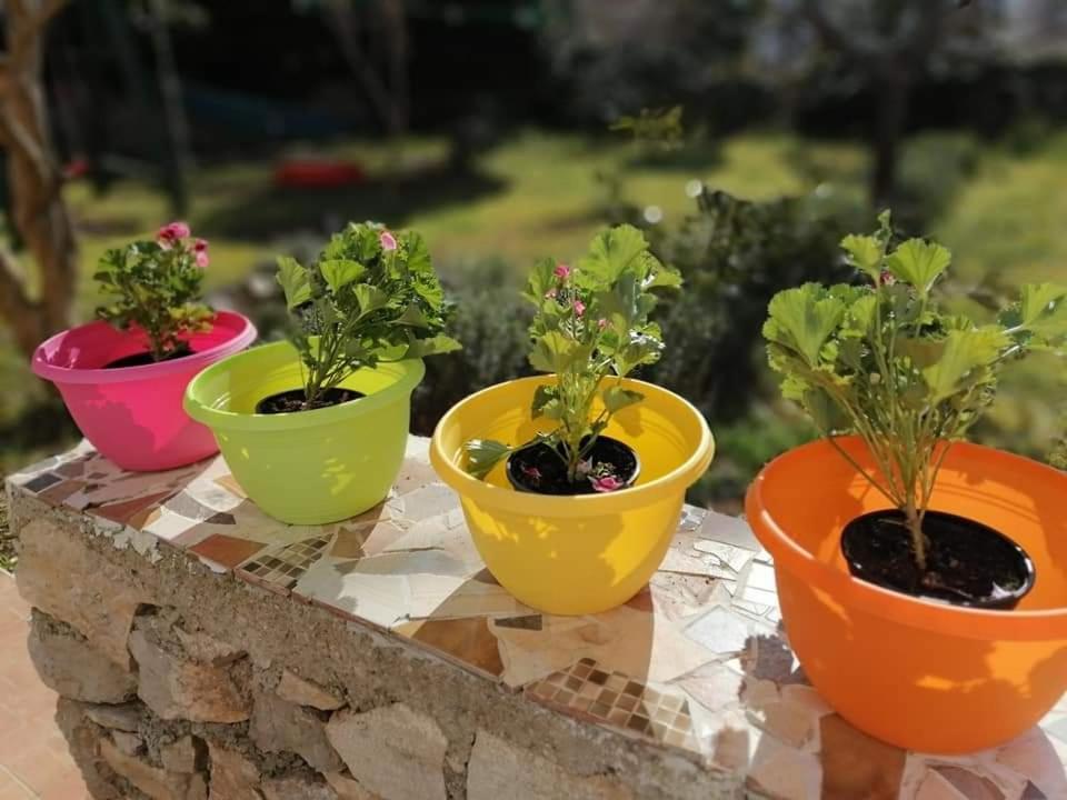 Apartamento Dairos Mali Lošinj Exterior foto